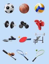 B-sports 男生健身增胖室内器材
